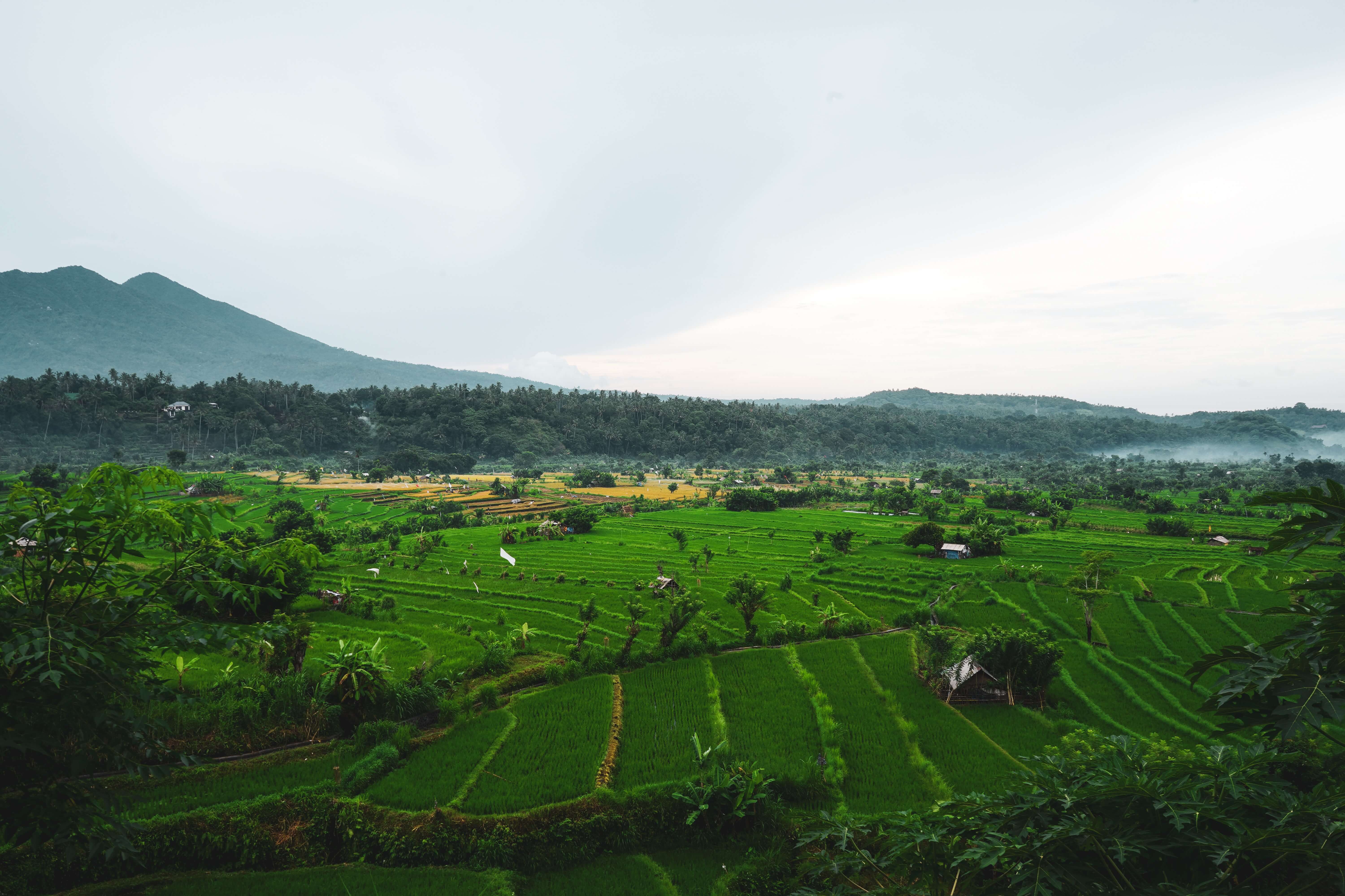 Volcan Agung