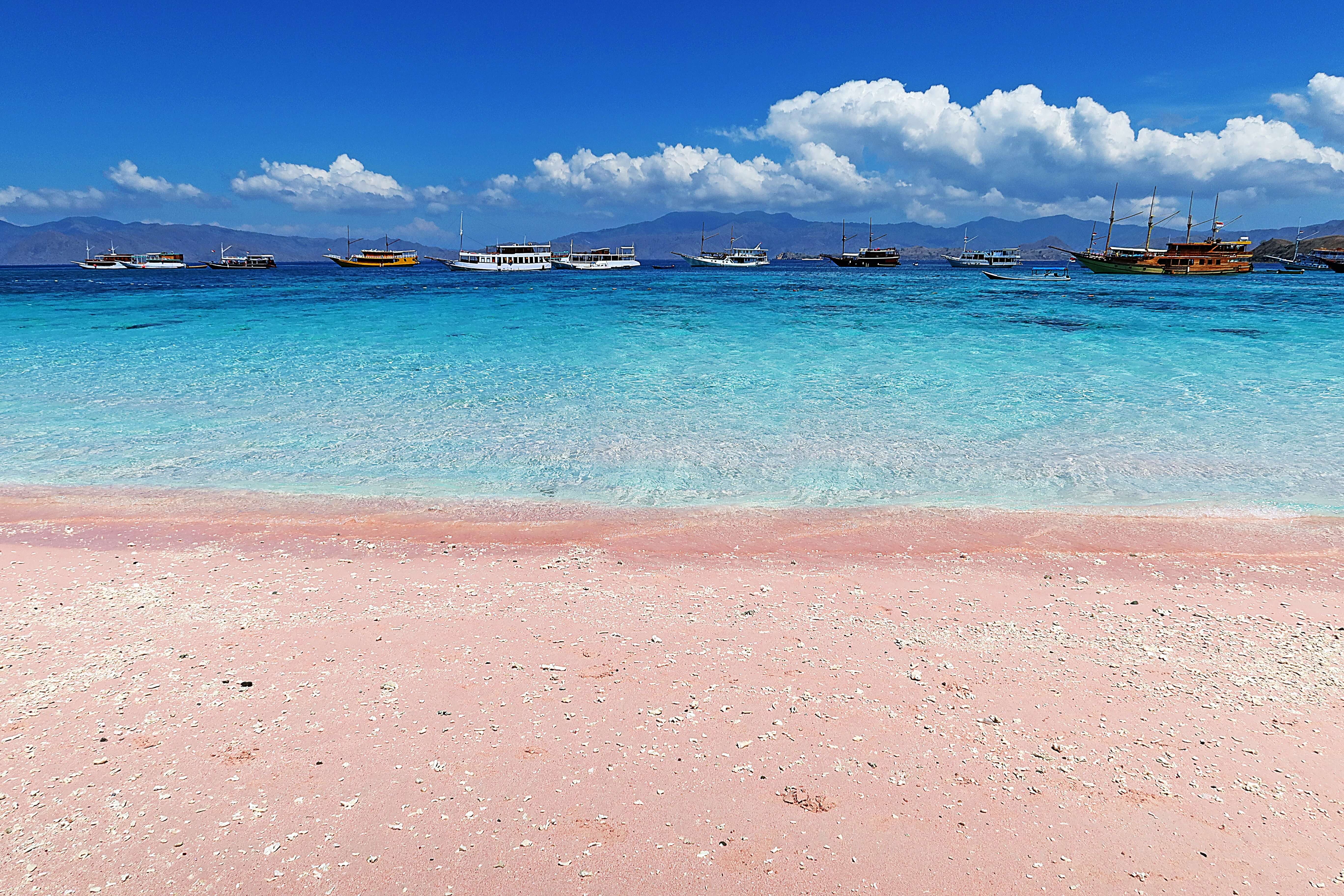 Pink Beach à Flores