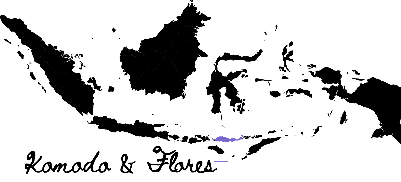 Carte de l'Indonésie localisant l'île de Flores et l'île de Komodo