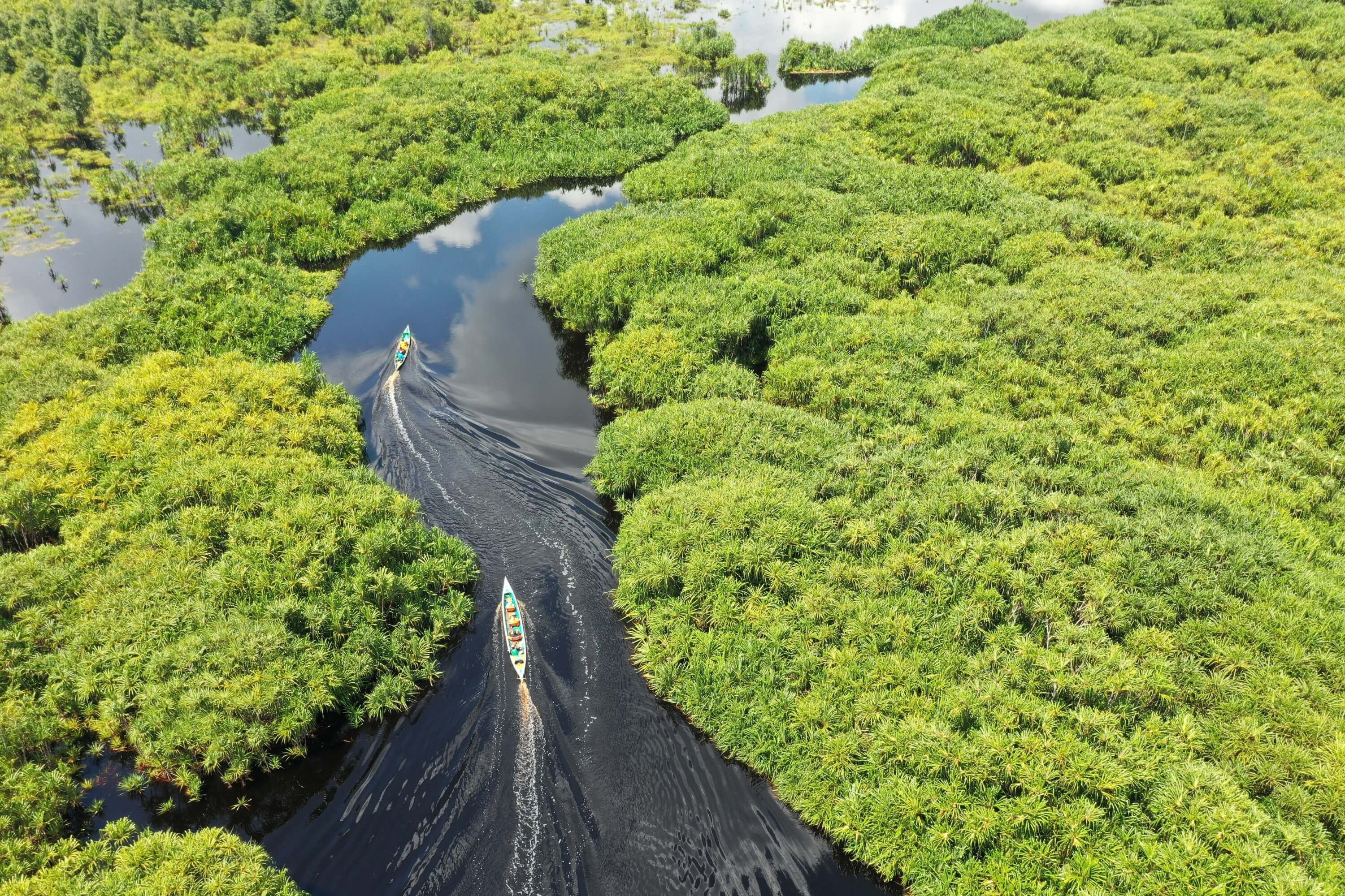 Rivière à Kalimantan