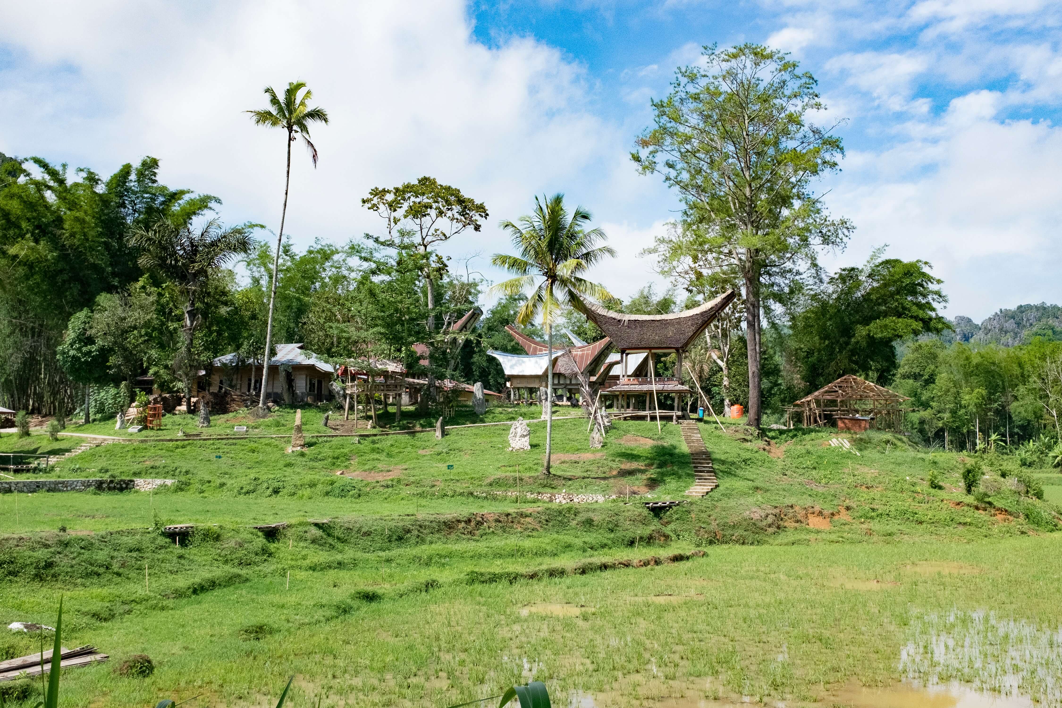 Un village traditionnel à Sulawesi