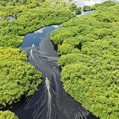 L'île de Kalimantan