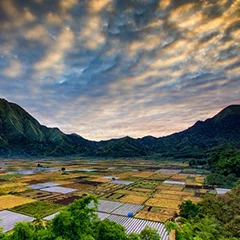 Paysage de l'île de Lombok