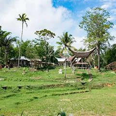 Maison typique de l'île de Sulawesi